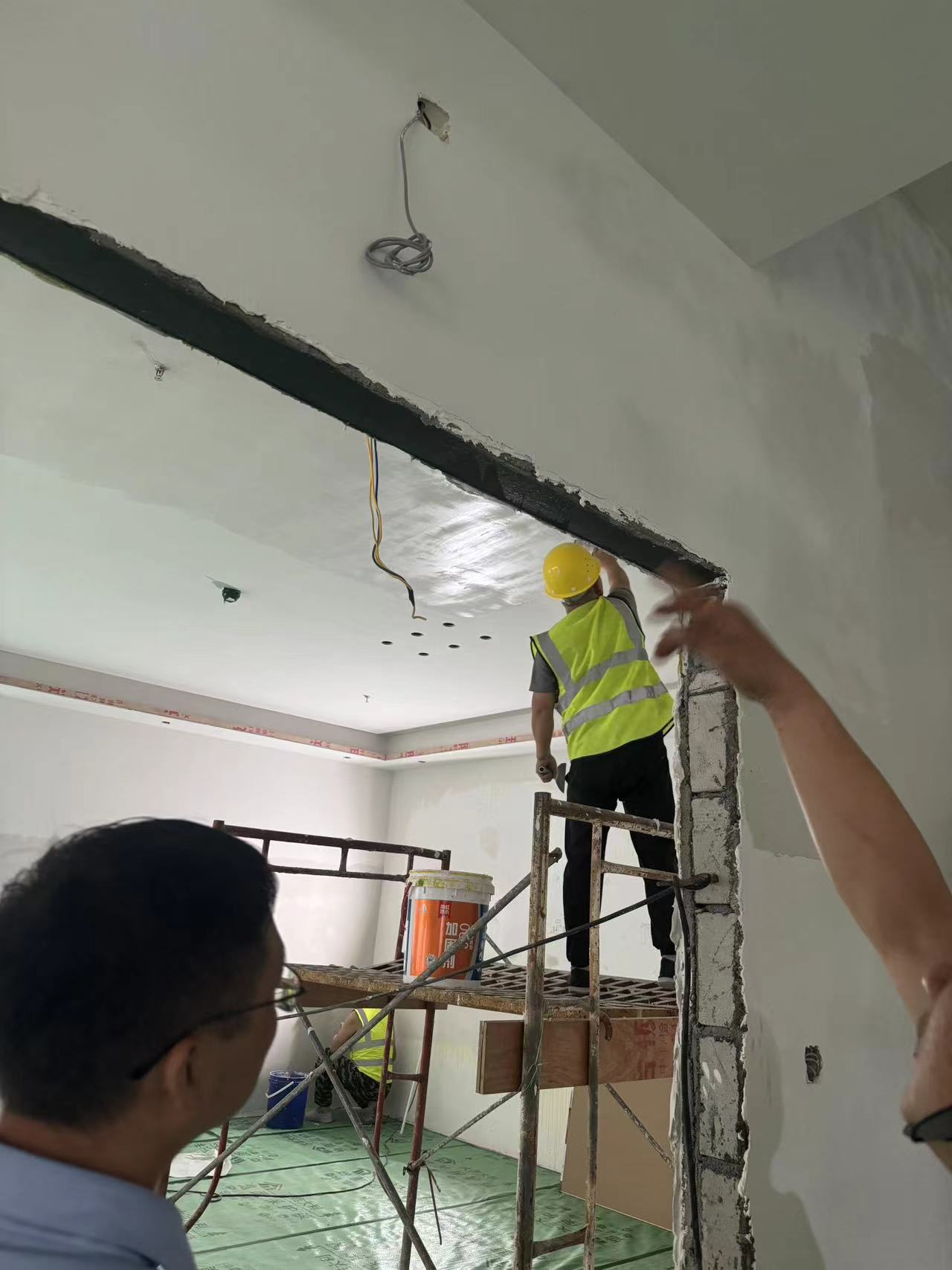 广龙鑫：绝密实验！宠物监控竟成“隐形杀手”，百万猫狗受害